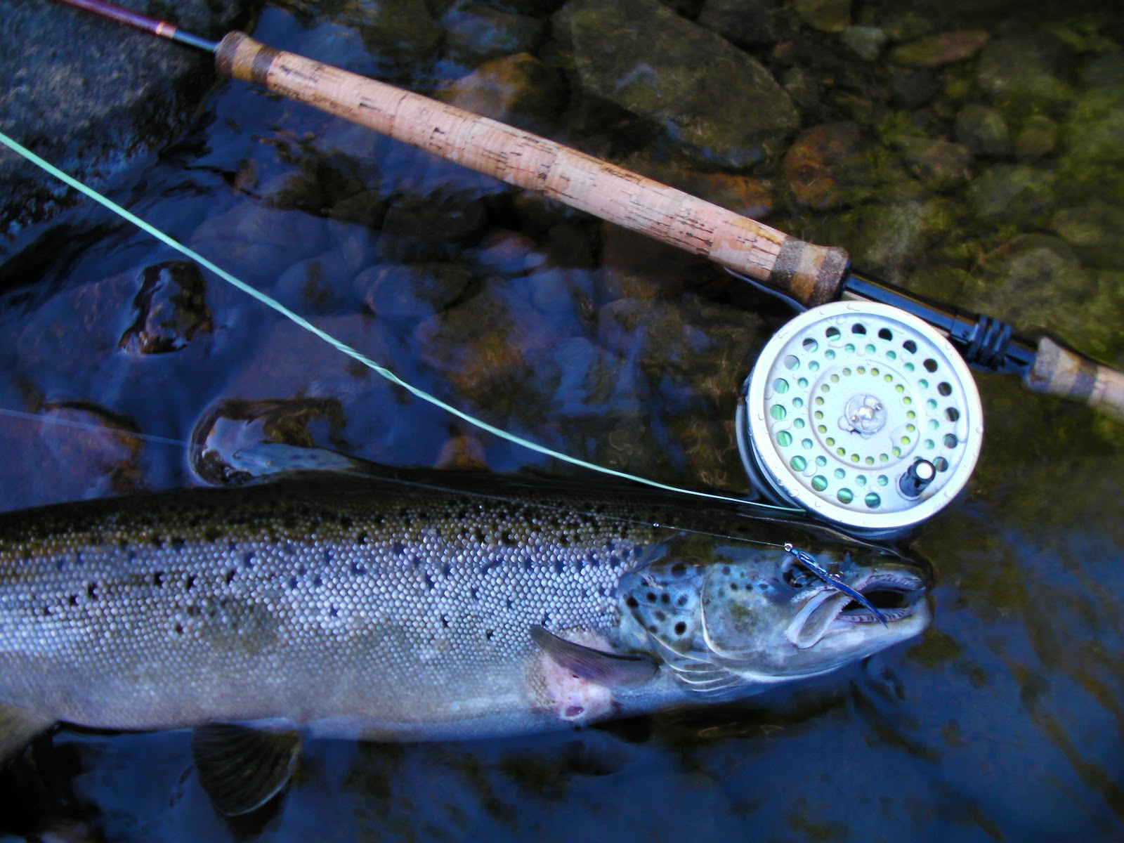 Landlocked Atlantic Salmon Flies