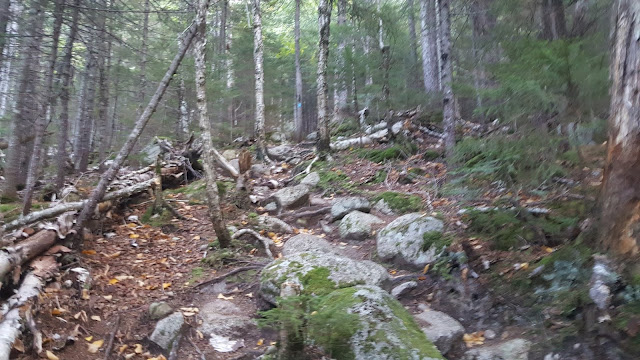 Sentier pour le North Brother