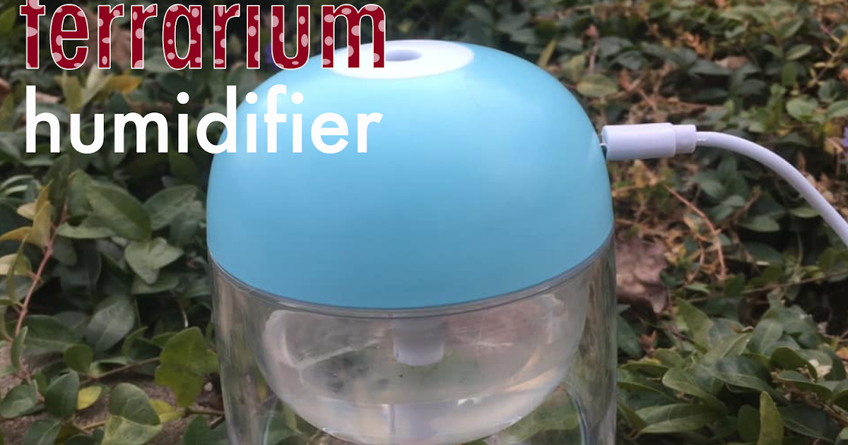 An Apel a Day Terrarium Humidifier Review