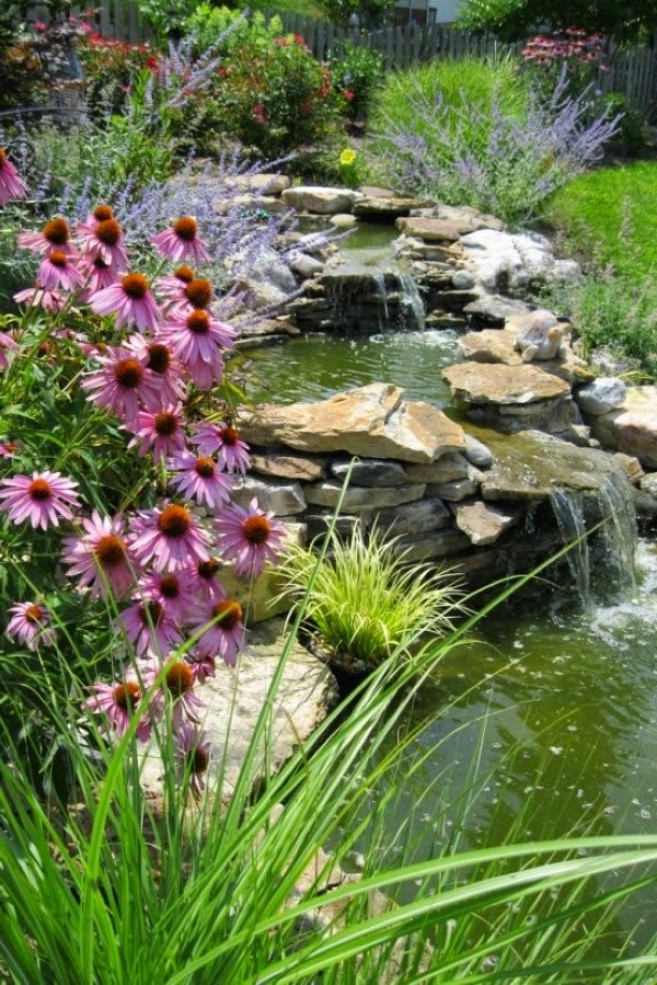A relaxing garden and backyard waterfalls