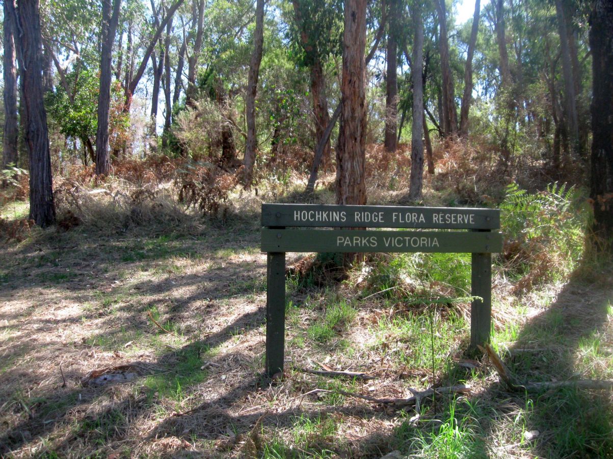 Hochkins Ridge Flora Reserve