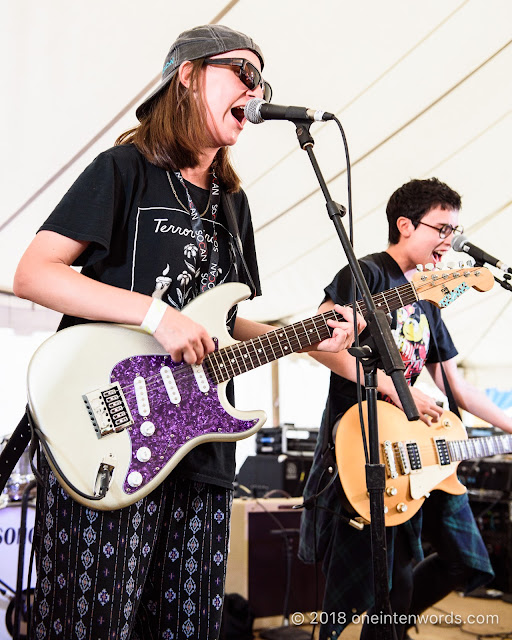 Partner at Hillside 2018 on July 14, 2018 Photo by John Ordean at One In Ten Words oneintenwords.com toronto indie alternative live music blog concert photography pictures photos
