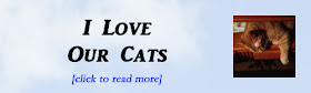 http://mindbodythoughts.blogspot.com/2015/03/i-love-our-cats.html