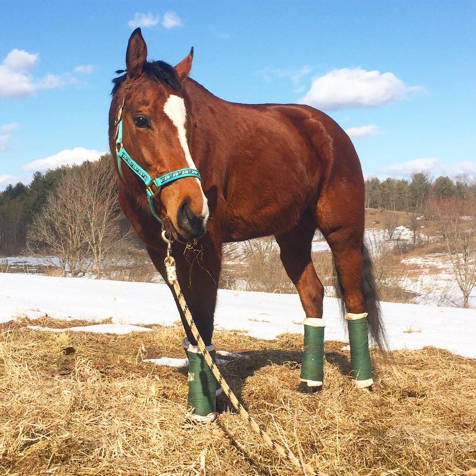 Ballston Neighbors United OPINIONS IN TOWN Proposed Zoning Changes