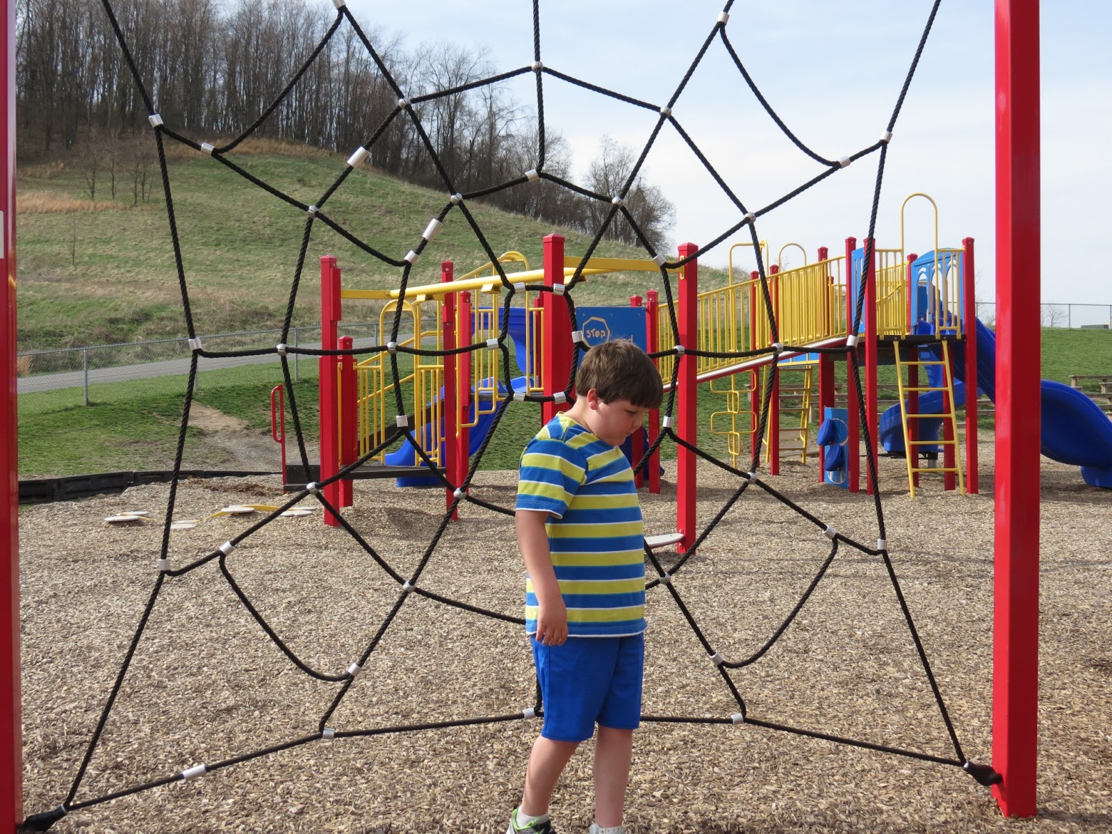 Bobby's World An 8 Year Old Boy