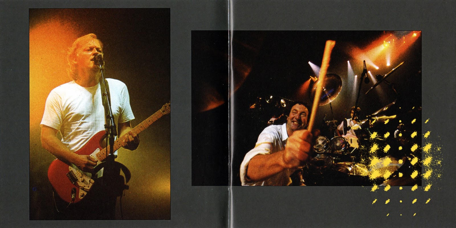 Pink Floyd Ilustrado Delicate Sound Of Thunder C.D U.S.A 2016