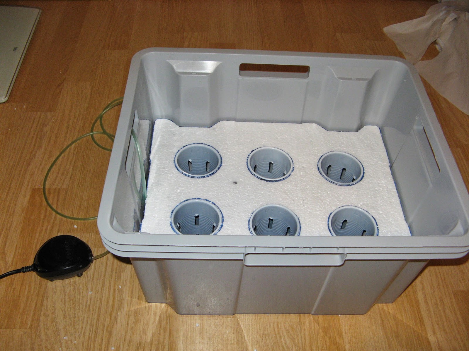 Eksperimenti ar hidroponiku DIY "floating raft" hydroponic setup