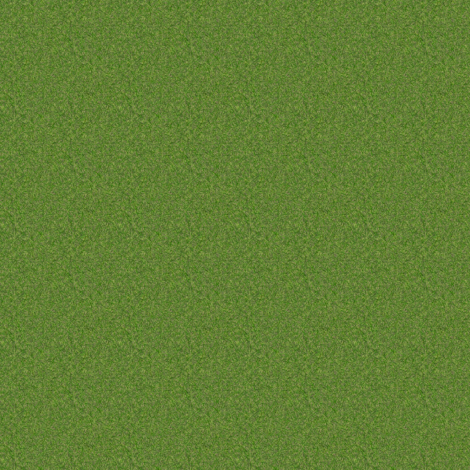 High Resolution Textures Grass High View Seamless Texture 2048x2048 