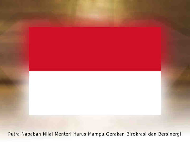 Putra Nababan Nilai Menteri Harus Mampu Gerakan Birokrasi dan Bersinergi Putra Nababan Nilai Menteri Harus Mampu Gerakan Birokrasi dan Bersinergi