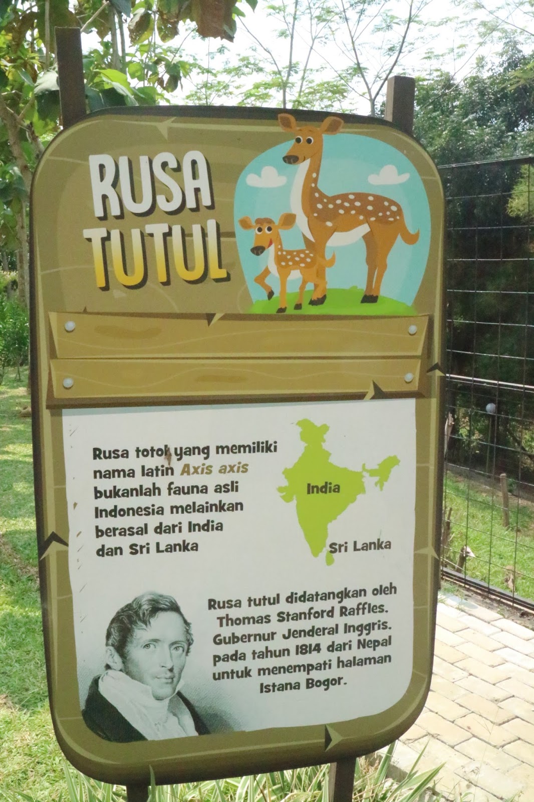 Bogor Mini Zoo