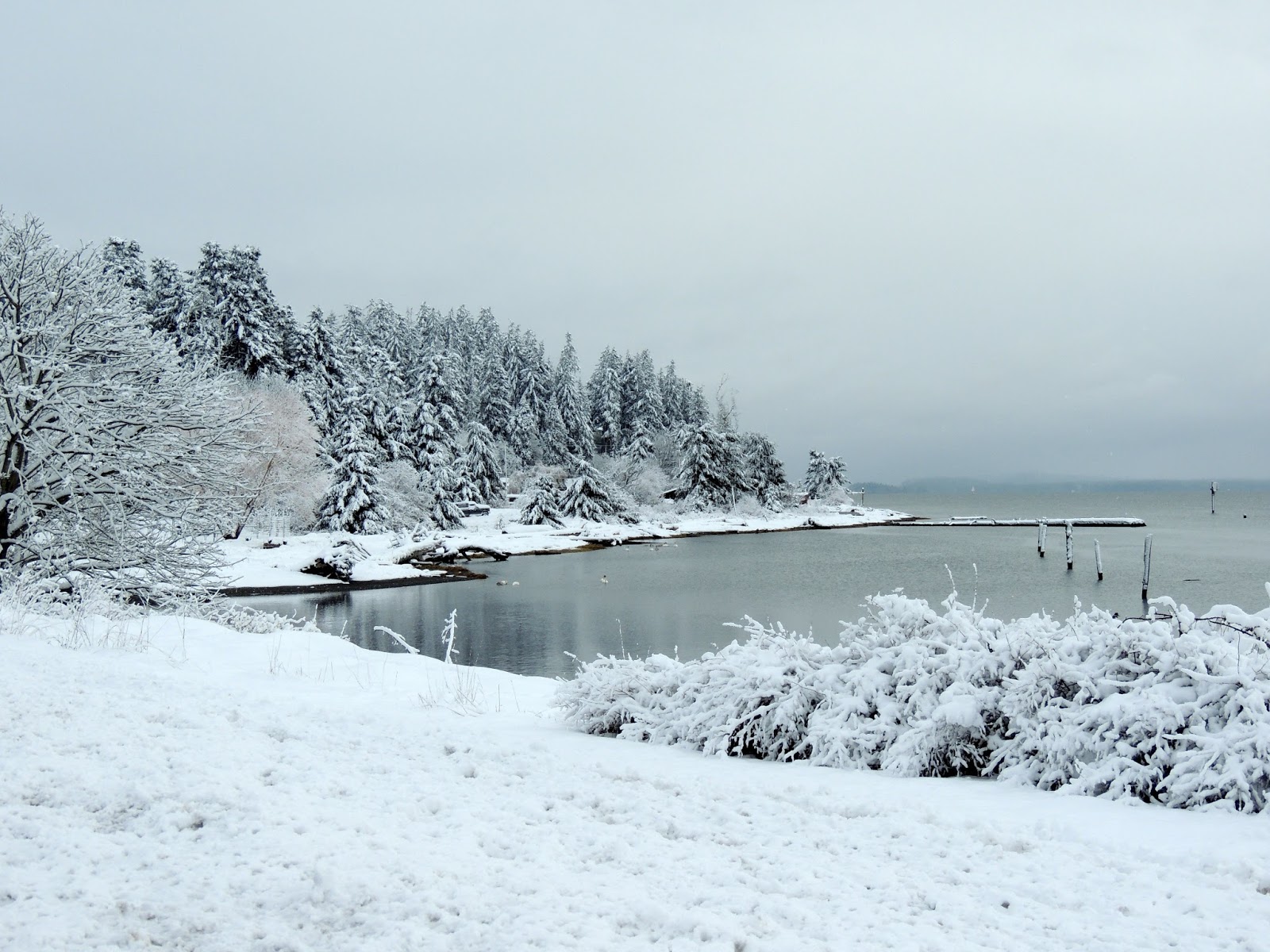 Travels Here and Abroad Comox in Winter
