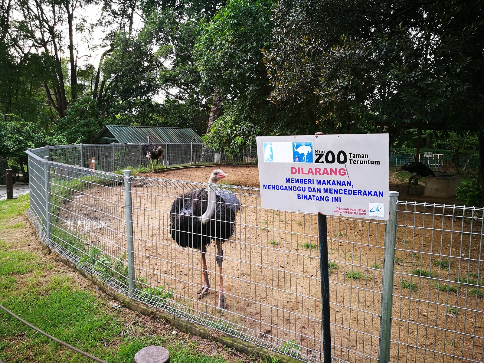 Mini Zoo Taman Teruntum Kuantan, Pahang