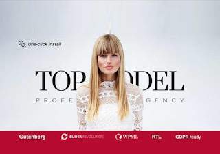 Top Model is one of the best WordPress themes for Talent Management