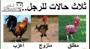 صور مضحكة