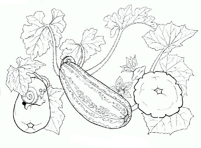 Gambar Mewarnai Sayuran - 9