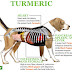 Give Your Dog a Tbsp. of This Golden Turmeric Paste to Relieve Inflammation and Prevent Cancer