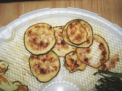 hot and sour chipotle lime raw dehydrated zucchini chips