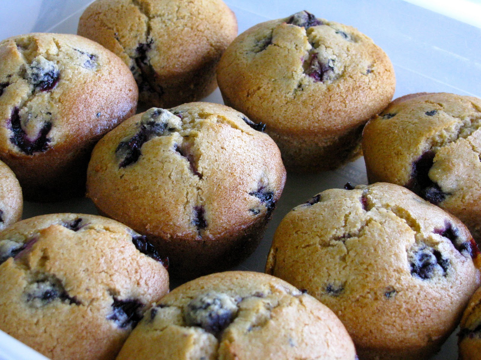 Betty Whole Wheat Blueberry Muffins