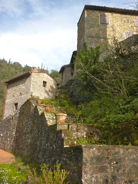 the environs of Villa Vignamaggio