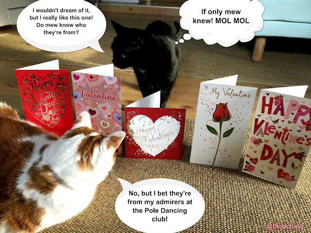 Feline Fiction on Fridays #119 at Amber's Library ©BionicBasil® Valentine's Throwback 2018