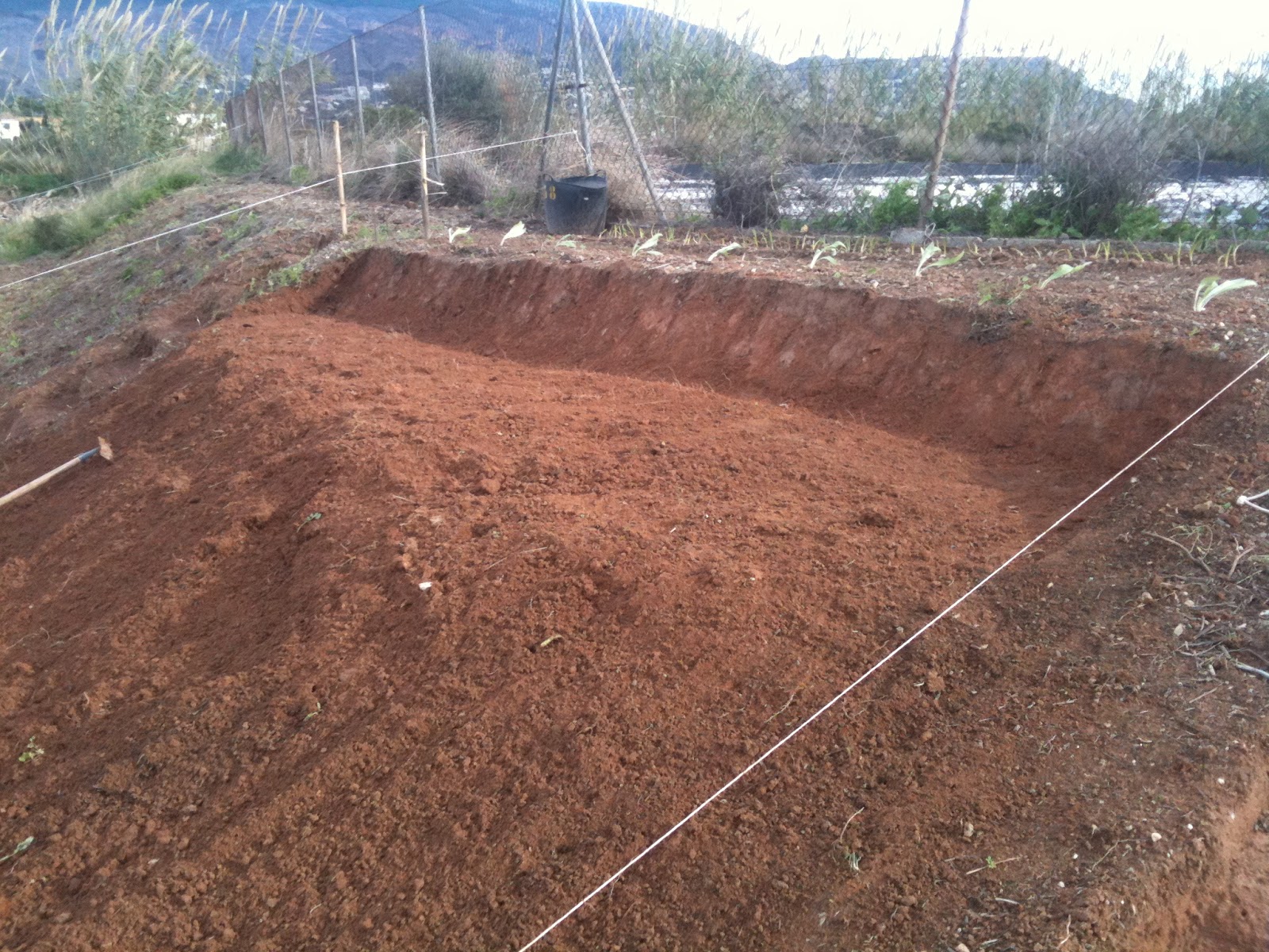 MY HUERTO URBANO APROVECHANDO EL TERRENO