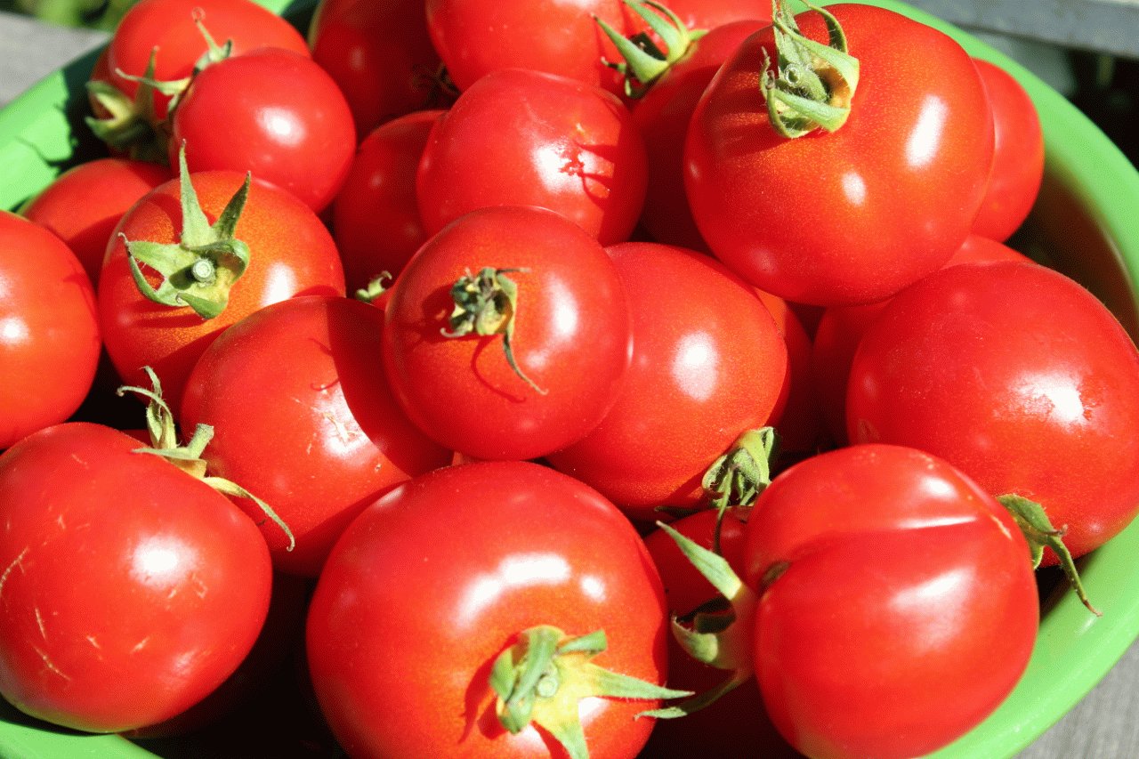 Можно есть свежие помидоры при панкреатите
