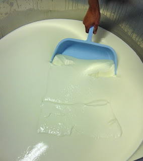 persille des aravis, fabrication persille des aravis, la laiterie de paris, gaec du vent des cimes, faire du fromage, blog fromage, blog fromage maison, voyage fromage, tour du monde des fromages