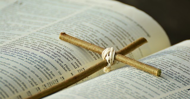 Frasi E Aforismi Sul Perdono