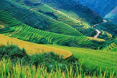 Du lịch Tây Bắc-Mù Cang Chải-Tú Lệ