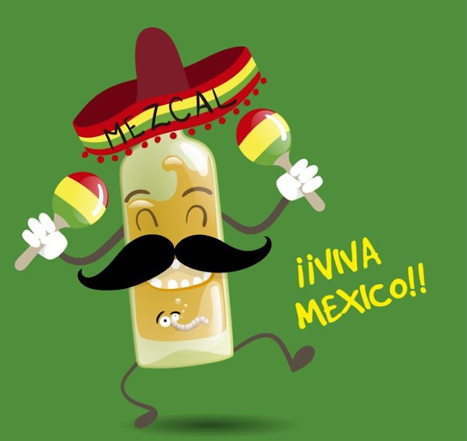 Cartoon Mexico Tequila Free Vector