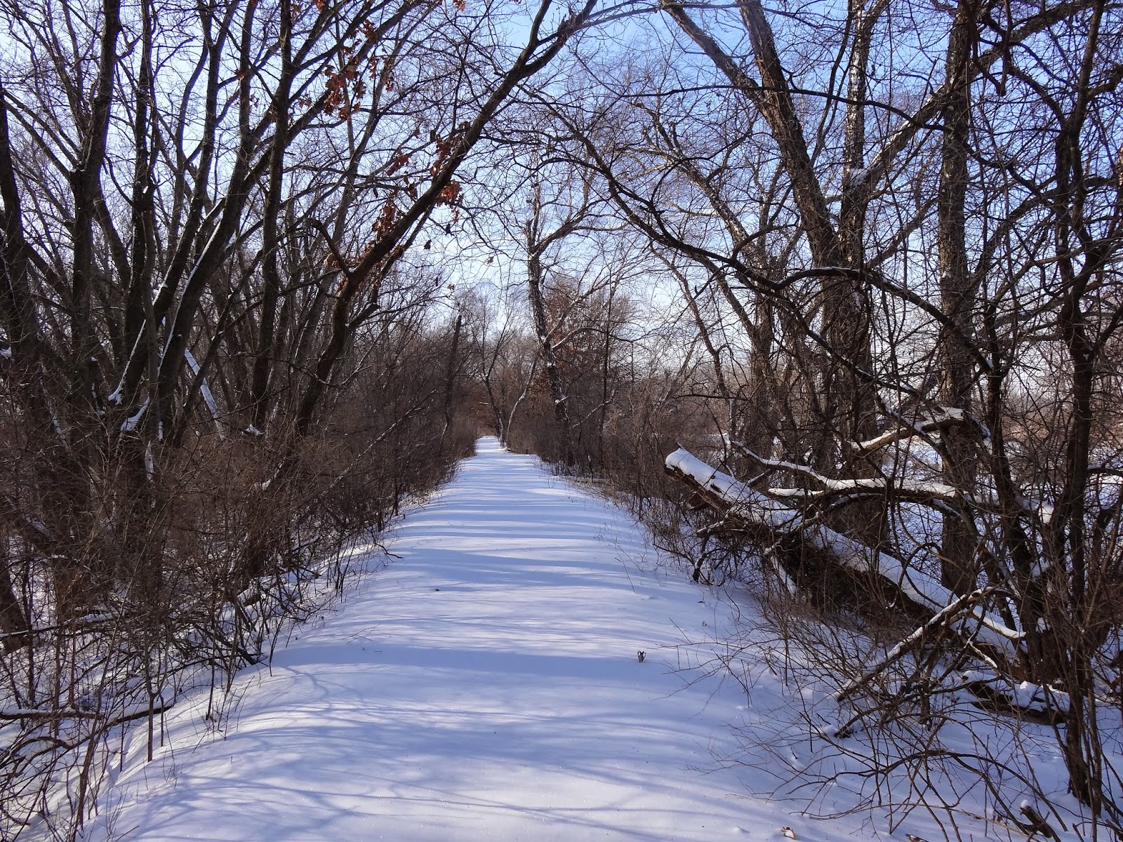 Mama's Basecamp What to Wear for Winter Day Hikes in Wisconsin