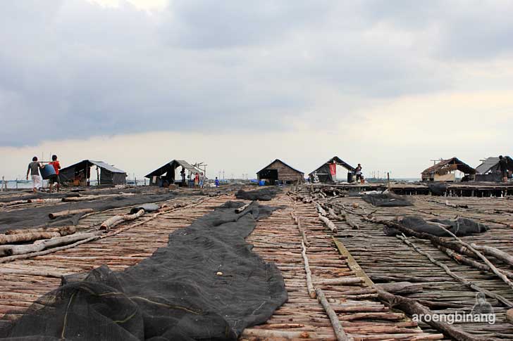 kampung nelayan bugis tanjung binga belitung