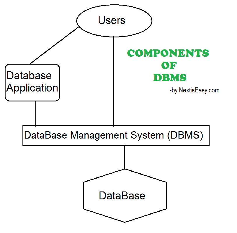 What Is Schema In DBMS