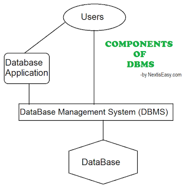 What is DBMS? (Database Management System) | Next is Easy
