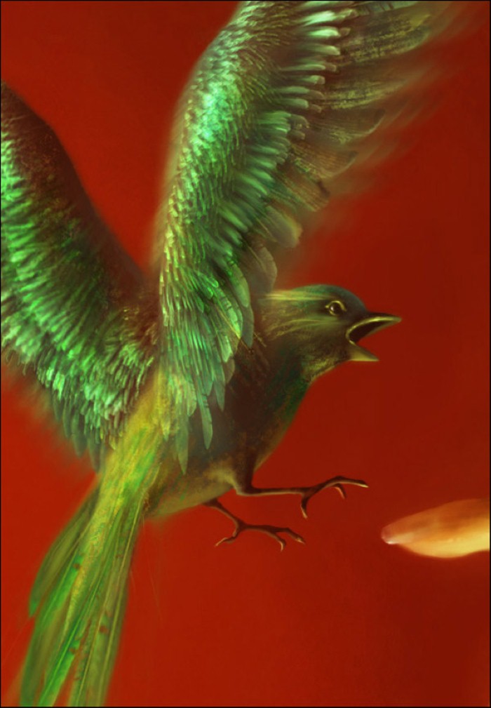 Benita Winckler Benita Winckler