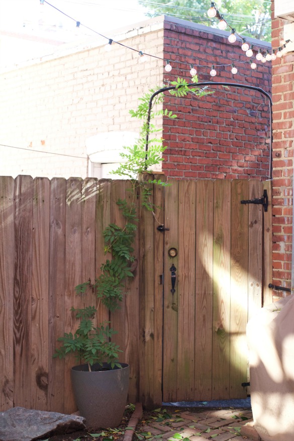 Training our Wisteria DIY PVC Pipe Garden Arbor 17 Apart