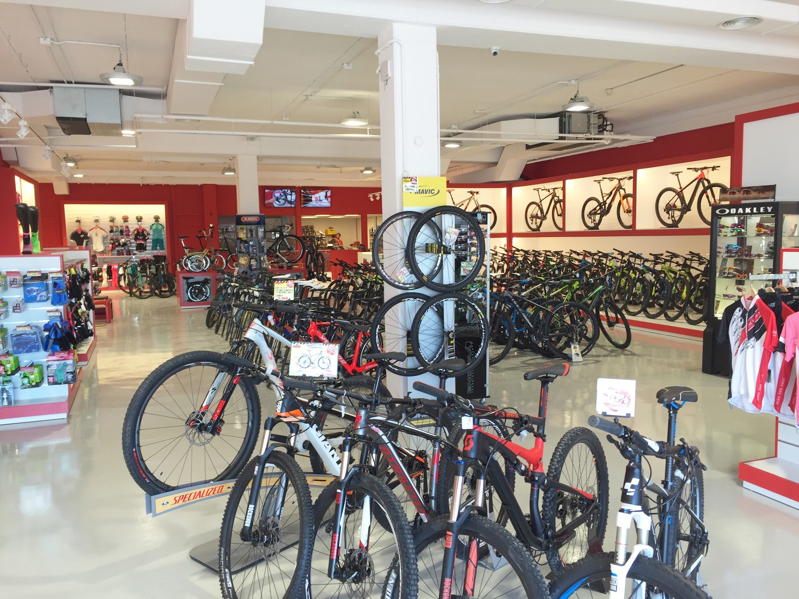Interiores Comerciales TIENDA DE BICICLETAS MAMMOTH EN ALCALA DE HENARES MADRID