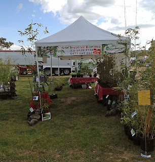 Bamboo creations victoria at Henty Field Days and Mt Macedon