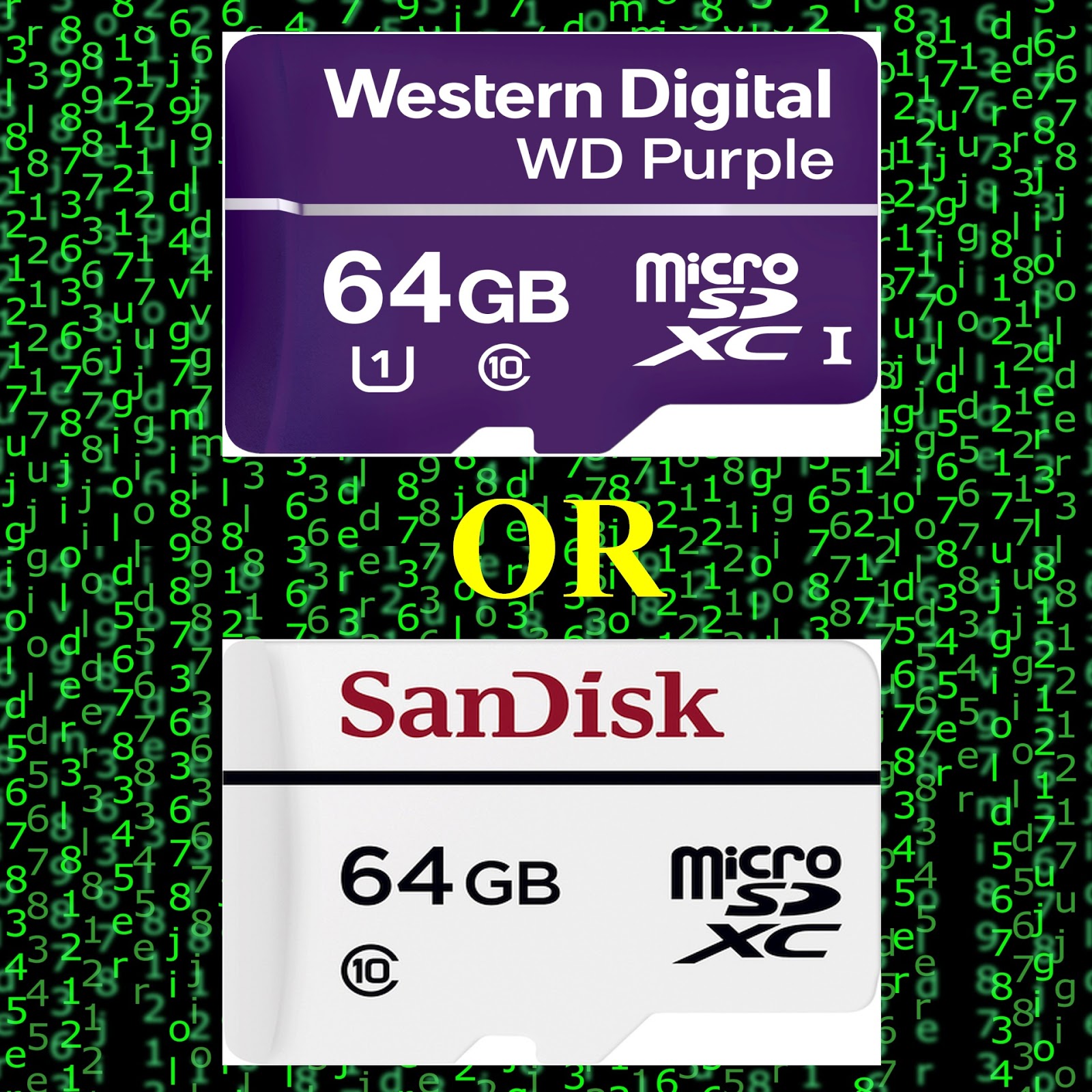 Corporate Australia WD Purple microSD or the SanDisk High Endurance card?