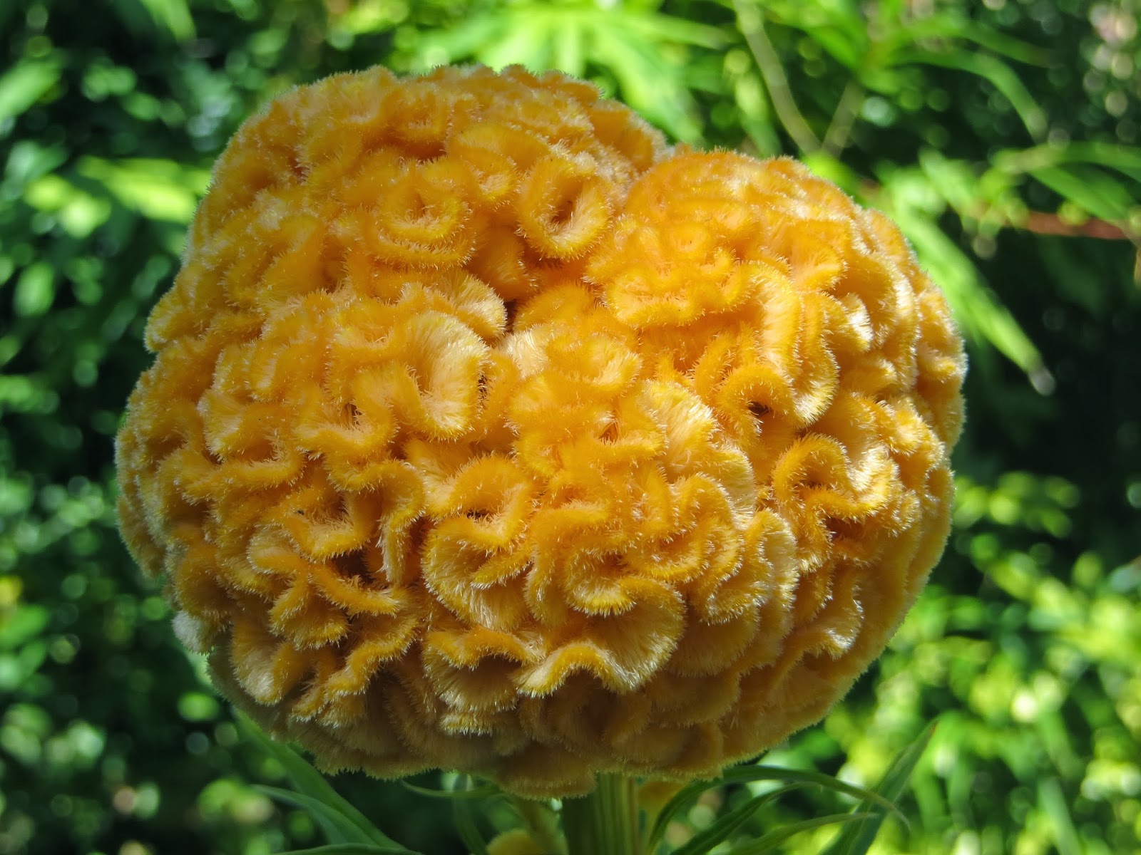 jillgoes Ten + One Announcements