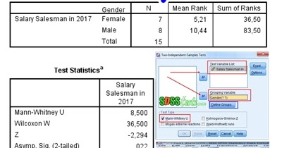 How To Mann Whitney U Test In Spss Completed Successfully Spss Tests