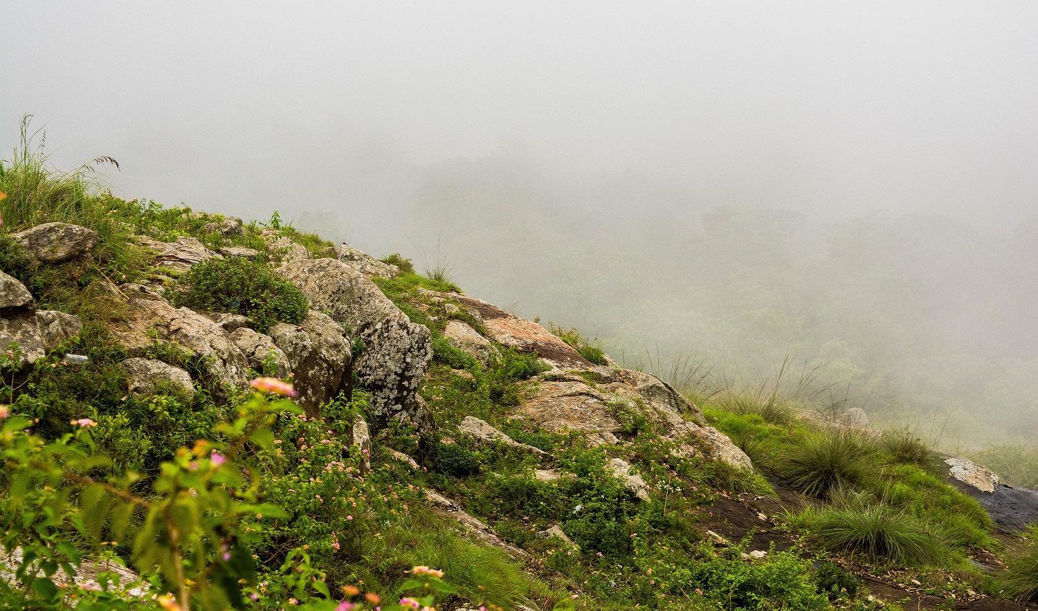 Tamilnadu Tourism Lady's Seat, Yercaud
