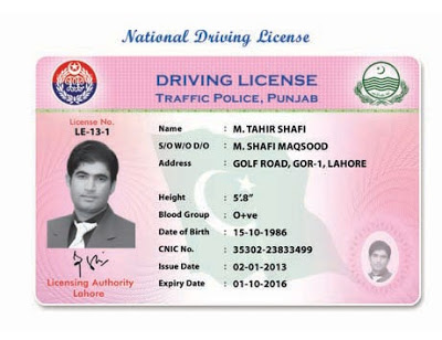fake indian driving license template