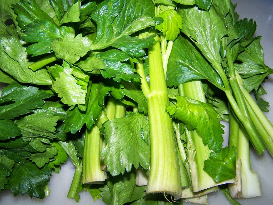 Porto Club Vacations GREEK RECIPES PORK WITH CELERY IN EGG AND LEMON