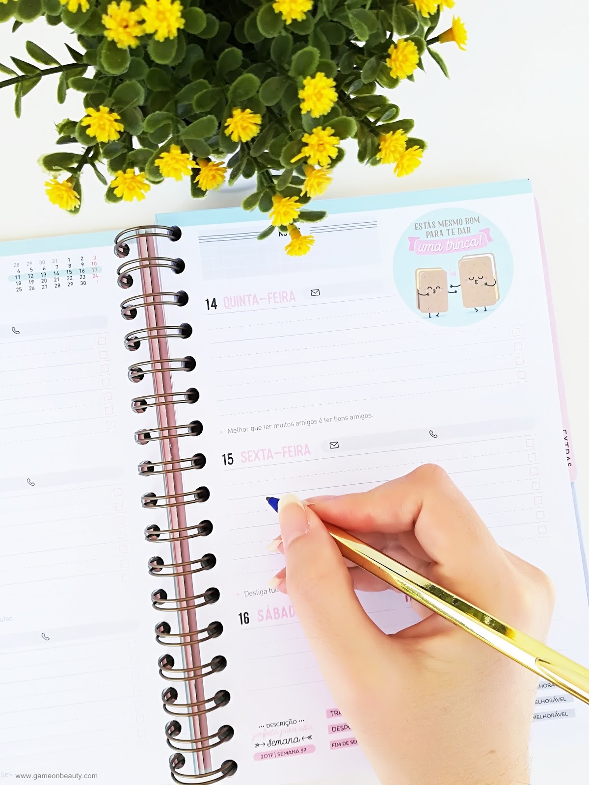 Agenda Mr. Wonderful Agenda Mr. Wonderful- Game on, Beauty!