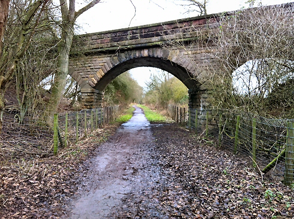 Looking towards Wetherby through bridge 15