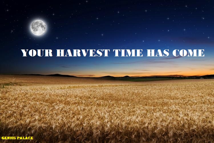 Genius Palace YOUR TIME OF HARVEST HAS COME