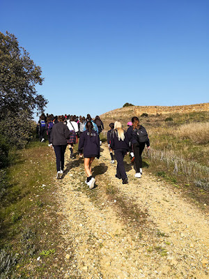 visita escolar tejada la vieja