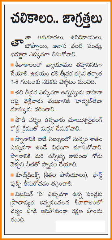 what-are-the-pure-telugu-words-for-summer-spring-59-off