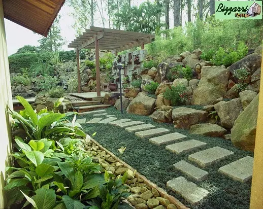 Detalhe do muro de pedra com pedra tipo moledo grandes com nichos para colocação das plantas e execução do caminho de pedras com o pergolado de madeira e a canaleta com pedra moledo para captar a água do telhado.